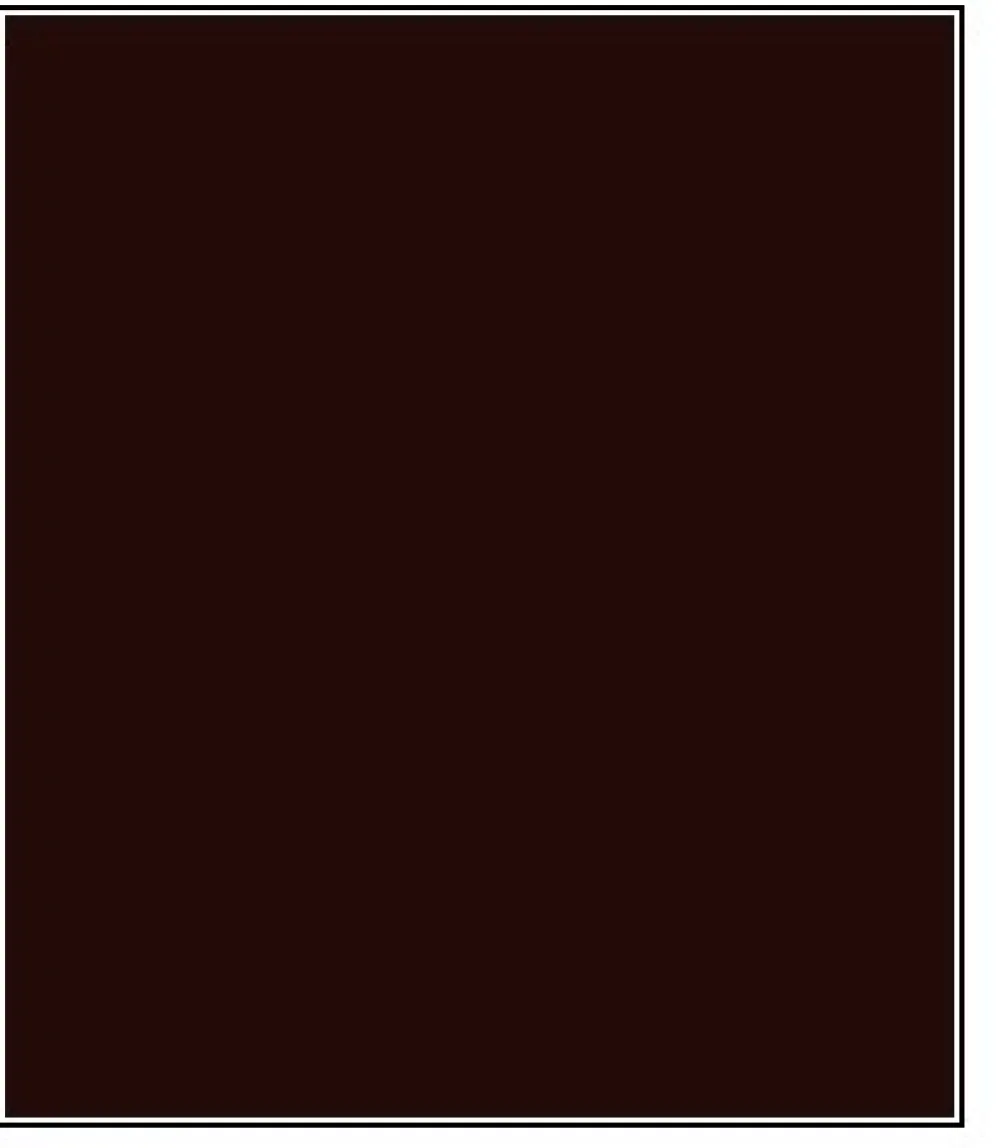 INTERNATIONAL Antifouling^Antifouling Internationnal Trilux Prop-O-Drev 0.5L Noir