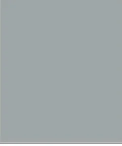 INTERNATIONAL Antifouling Internationnal Trilux Prop-O-Drev 0.5L Gris