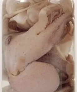 GRAUVELL Appât en conserve naturelle Poulpes
