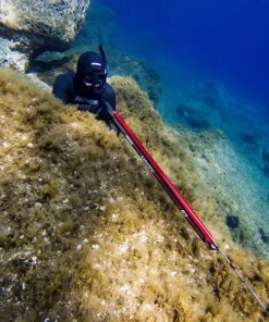 PATHOS Arbalète fusil harpon chasse sous marine Saragos Evo 75 cm| Harpon À Sandows