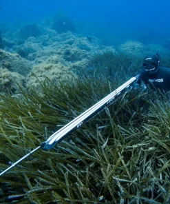 PATHOS Arbalète fusil harpon chasse sous marine Laser Evo Carbon 50 cm| Harpon À Sandows