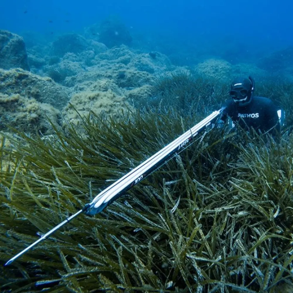 PATHOS Harpon À Sandows^Arbalète fusil harpon chasse sous marine Laser Evo Carbon 90 cm