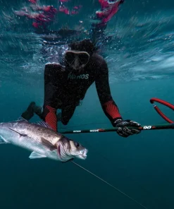 PATHOS Arbalète fusil harpon chasse sous marine Wave 60 cm| Harpon À Sandows