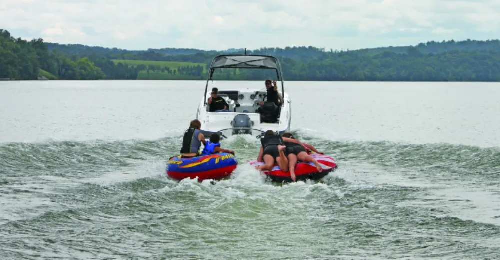 PLASTIMO Arceau de traction TurboSwing