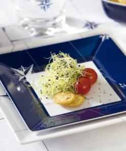 MARINE BUSINESS Assiette Plate - Collection Northwind - 2 pièces + 1 pièces dessert - OCCASION GRADE A+