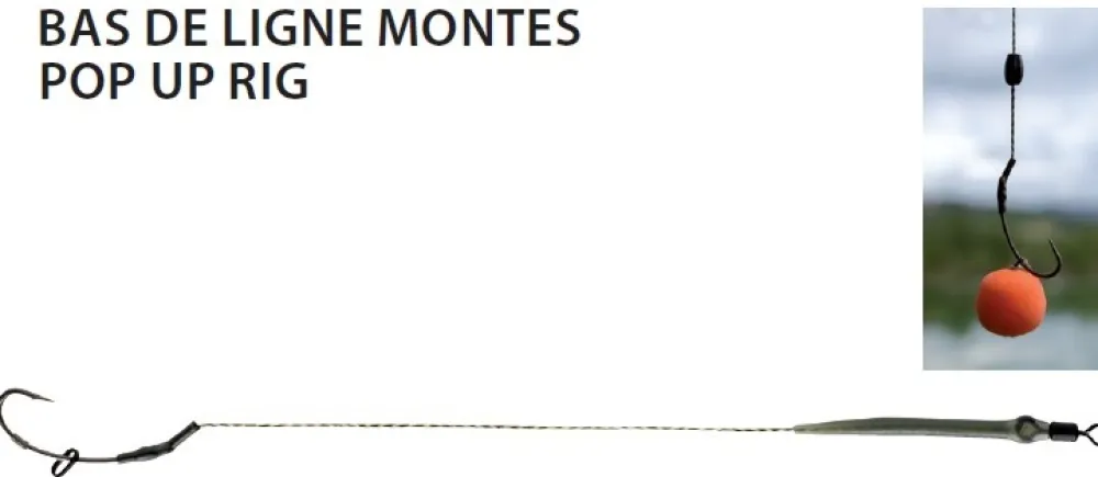 PROWESS Bas de Ligne Montés Pop Up Rig x2