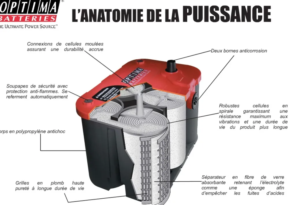 OPTIMA Batterie Marine^Batterie Red RTV 4.2 50AH