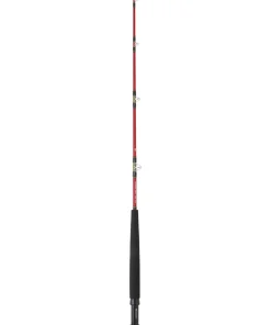 DAIWA Canne Bateau Tanacom Boat