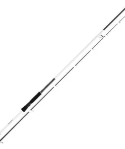 DAIWA Canne Infeet Seabass II| Cannes Carnassier|Cannes Pêches Exotiques