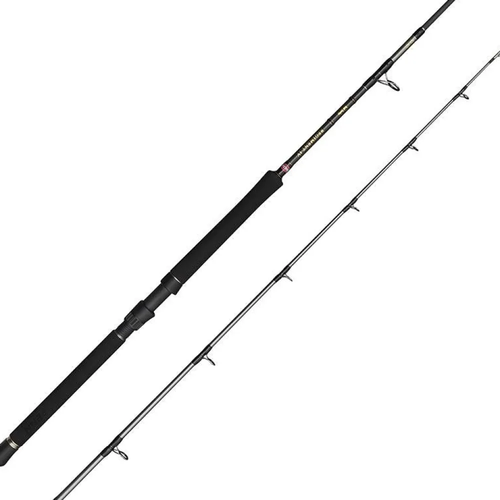 PENN Canne Regiment IV Boat Rod