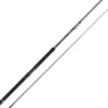 PENN Cannes Peche Grands Fonds|Cannes De Traine^Canne Regiment IV Inner Boat Rod