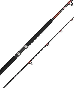 PENN Canne À Pêche|Cannes Carnassier^Canne Warfare II Boat Rod
