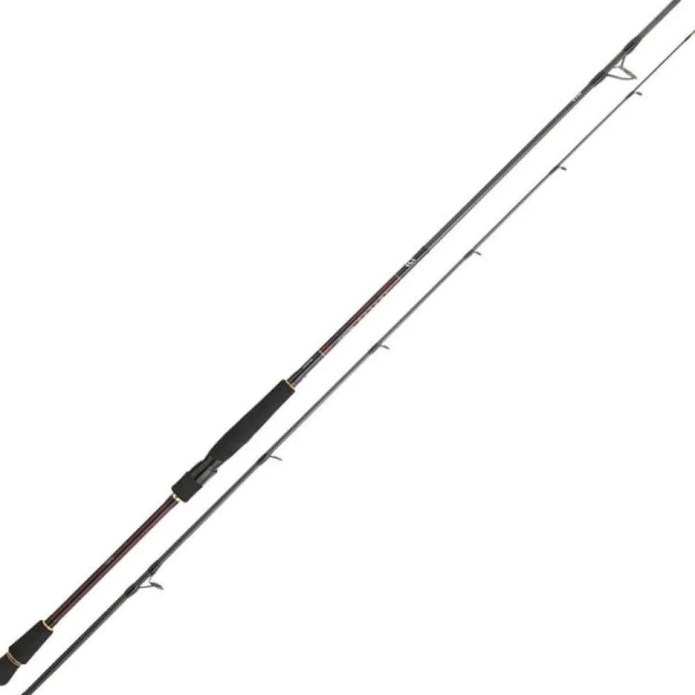 DAIWA Canne Spinning Infeet Seabass