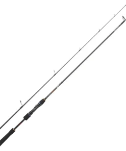DAIWA Canne spinning Lexa Seabass| Cannes Carnassier|Canne À Pêche