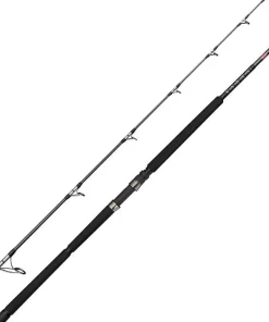 PENN Canne À Pêche|Cannes Carnassier^Canne spinning Ally II offshore Casting Rod