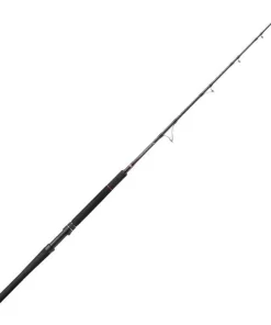 PENN Canne spinning Conflict Tuna Broumé