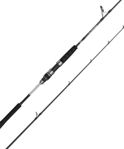 PENN Canne spinning Prevail III Jigging spin