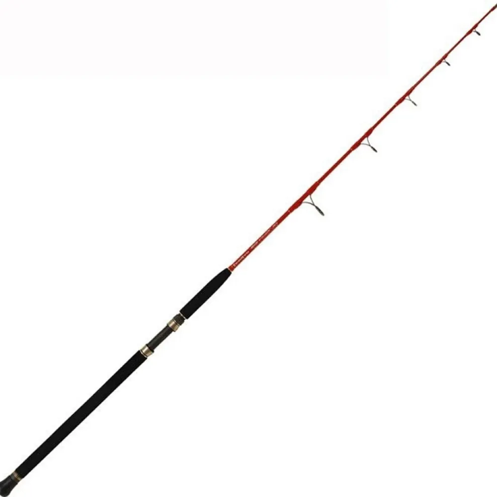 TENRYU Canne spinning Big Fiber Jig