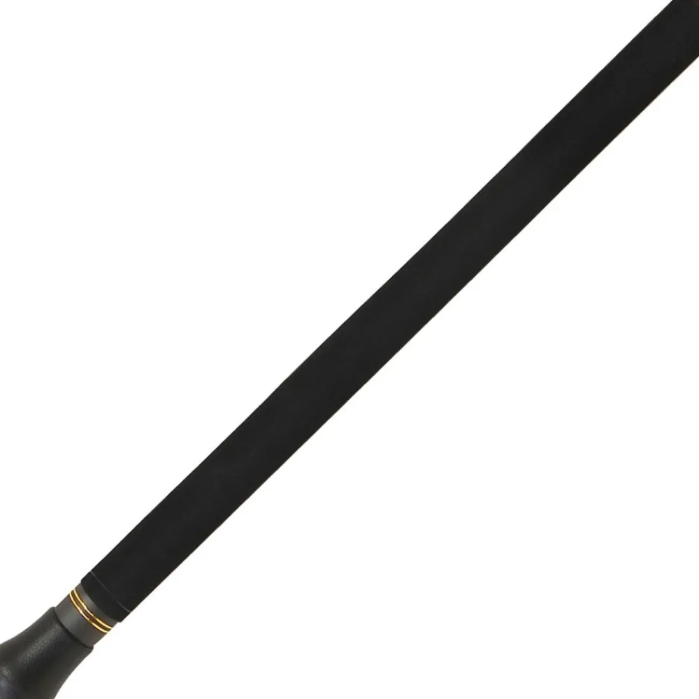 TENRYU Canne spinning Big Fiber Jig