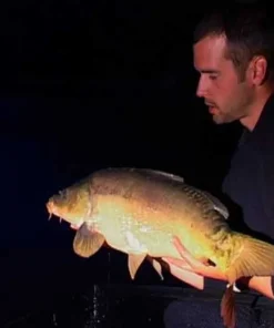 VIDEO PêCHE Dvd / Livres^Carpes en grands lacs : St Cassien - Salagou - Cabanac (2 DVD) avec Nicolas Migeon