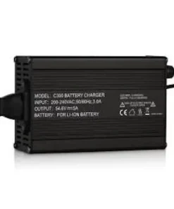 BSR Chargeur de batterie gamme ECO 12V 10A