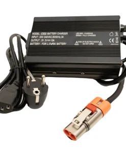 BSR Chargeur Batterie Bateau|Chargeur De Batterie^Chargeur de batterie gamme Prestige et Prestige + 36V 10A