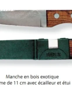 FLASHMER Outils / Accessoires|Accessoires Pêche Truite^Couteau Inox Zest avec écailleur