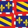 DéCOMARINE Pavillon Bateau^Drapeau Bourgogne  90 x 150