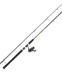 DAIWA Ensemble spinning Set Silure 06