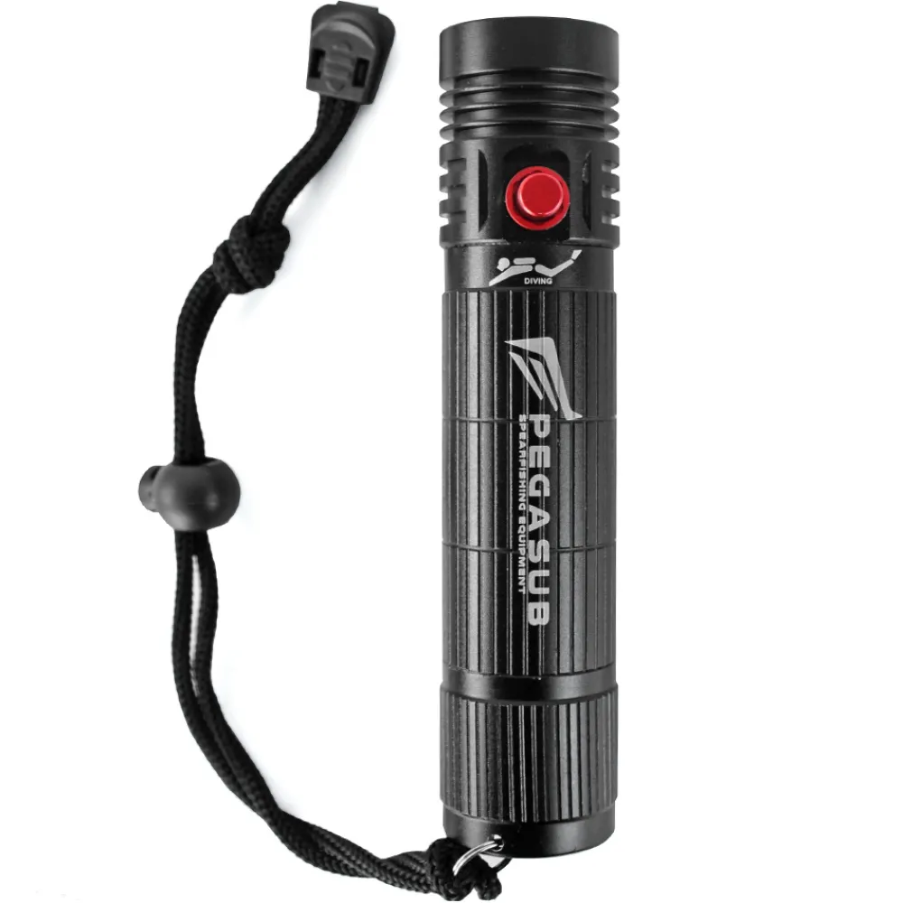 PEGASUB Lampe de plongée Led Diving Light 500 lumens