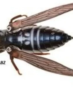 JACKSON Leurre Namazemi| Leurres Carnassier