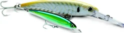 RAPALA Poissons Nageurs|Leurre Brochet^Leurre X-Rap Magnum 16 cm 72 gr