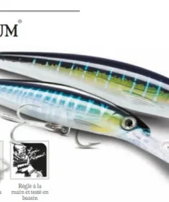 RAPALA Leurre X-Rap Magnum 11 cm 22 gr