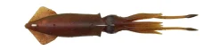 SAVAGE GEAR Leurre Souple|Tous Les Produits^Leurre souple Calamar 3D TPE Swim Squid