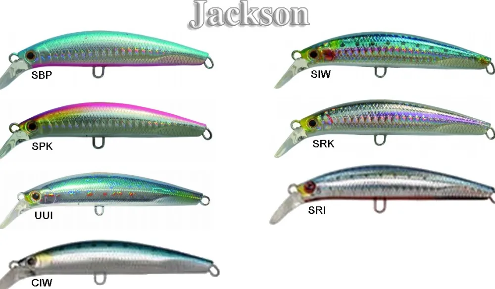 JACKSON Poissons Nageurs|Leurres^Leurres Pintail EZ 9 cm / 28 gr