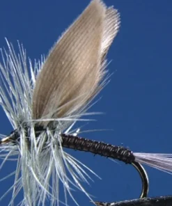 TEKLON Mouches Montées^Lot de 2 mouches Ephémères Blue Quill