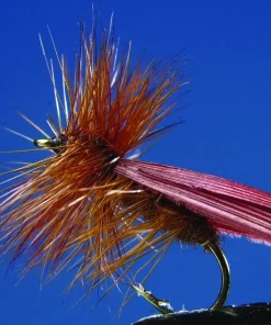 TEKLON Lot de 2 Tricoptères Brown| Mouches Montées