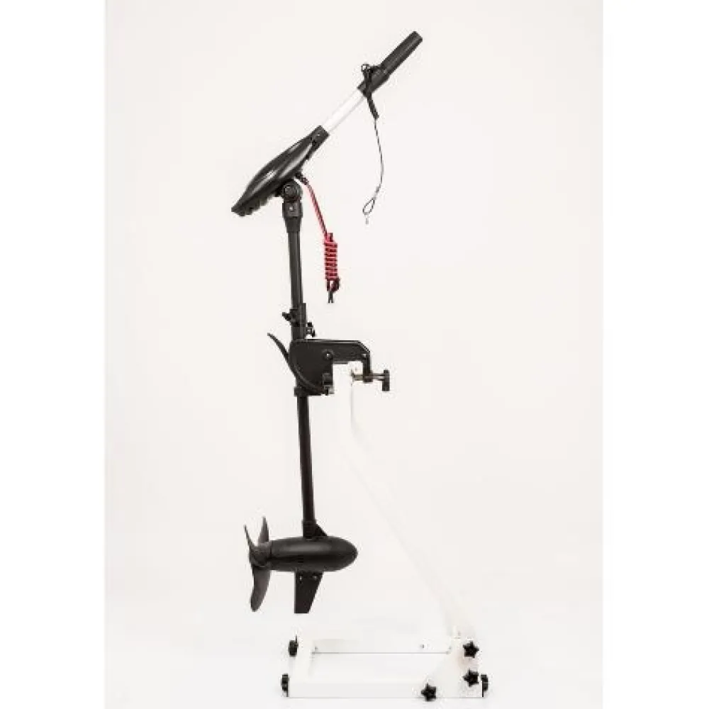 HASWING Moteur Électrique Arrière^Moteur électrique bateau Protruar G 3.00