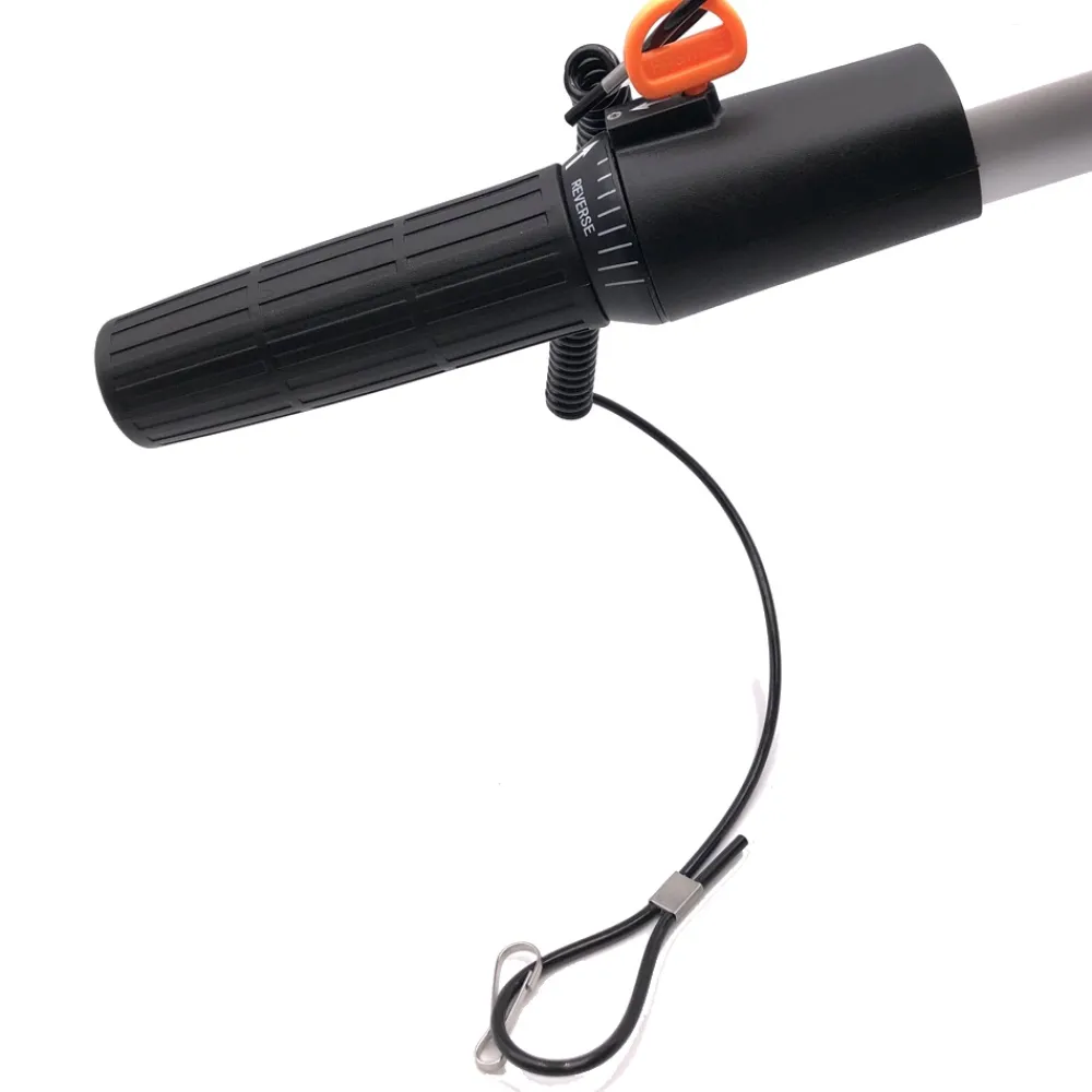HASWING Moteur Électrique Arrière^Moteur électrique Comax 55