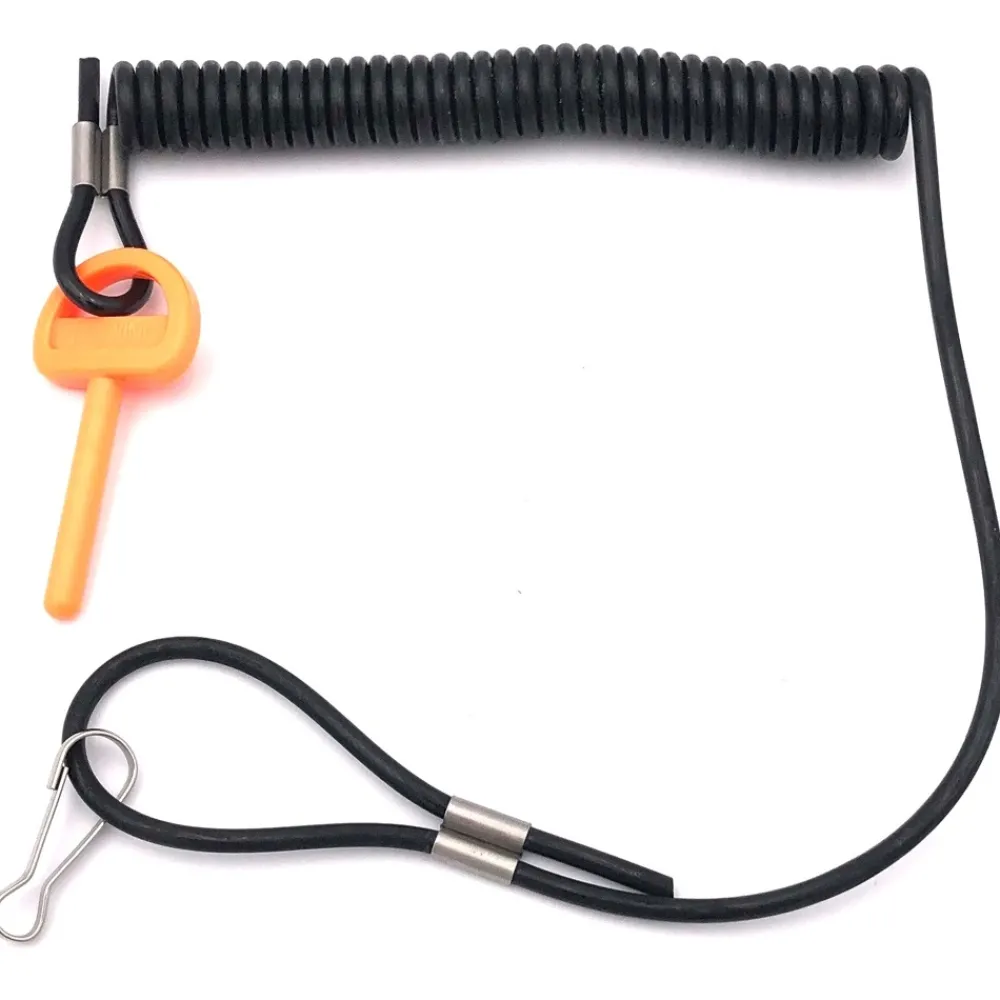 HASWING Moteur Électrique Arrière^Moteur électrique Comax 55