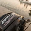 MERCURY Moteur Bateau Arbre Court^Moteur thermique 6 CV