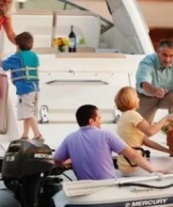 MERCURY Moteur Bateau Arbre Long^Moteur thermique 8 CV