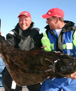 ABU GARCIA Moulinet Ambassadeur Seven Manivelle à Droite