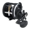 PENN Moulinet Traine Rival Level Wind 30 LH