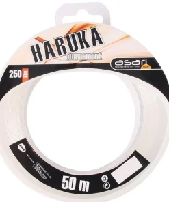 ASARI Nylon Haruka Tournament
