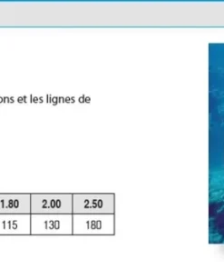 ASSO Nylon Ligne de Mer Classic Couronne 100 m 80/100