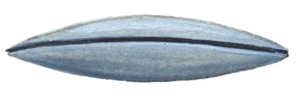 LEMER Olives longues fendues sachet de 100