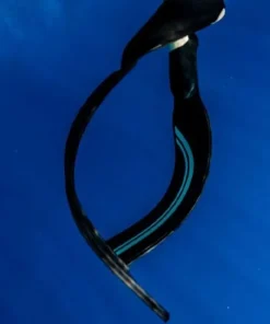MOLCHANOVS Palme apnée Pro Bifins 3 Carbon Noir - Médium