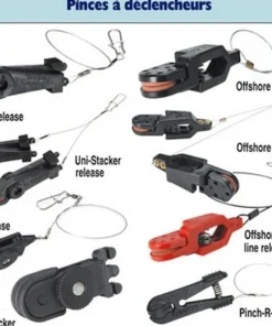 CANNON Pince Offshore Release