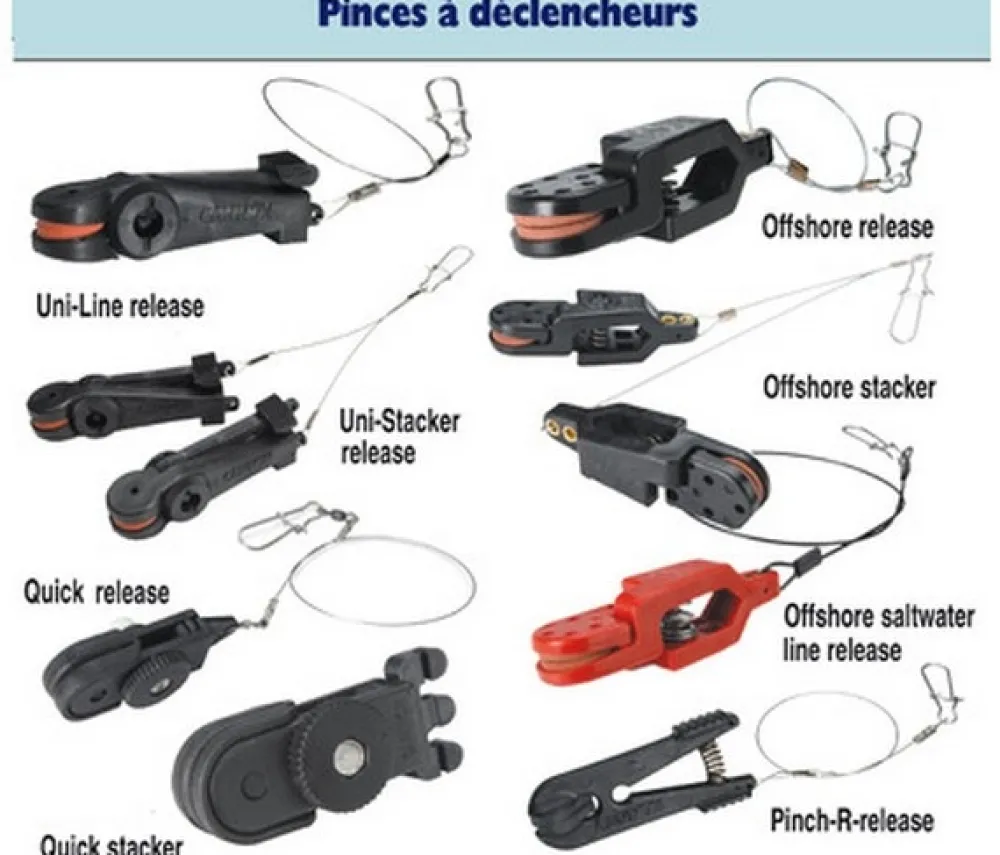 CANNON Pince Offshore Release